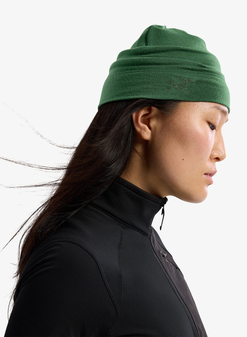 Original Caciula Arcteryx Rho Lightweight Wool Toque - eden