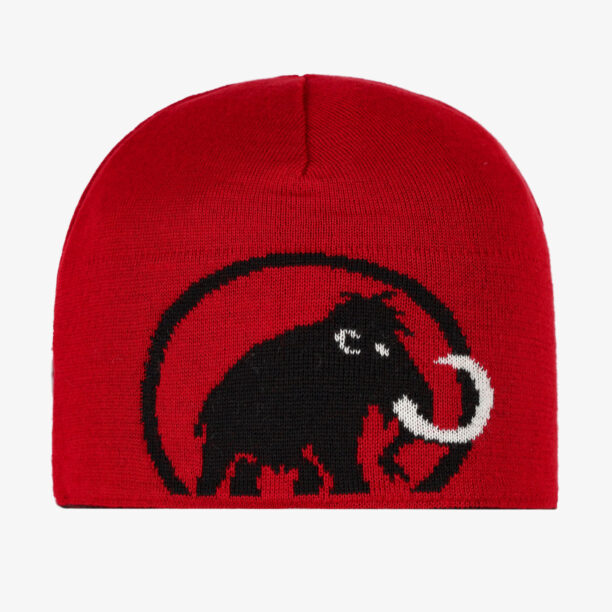 Căciulă de iarna Mammut Logo Beanie - black preţ