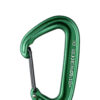 Carabiniera escalada Black Diamond MiniWire - green