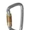 Carabiniera escalada Climbing Technology D-Shape Stainless Steel TG - steel