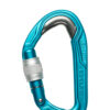 Carabiniera escalada Edelrid Bulletproof Srew - icemint