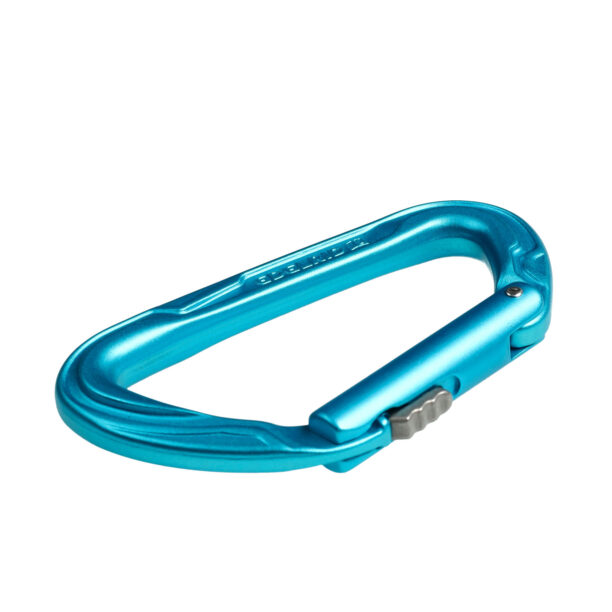 Original Carabiniera escalada Edelrid Pure Slider III - icemint