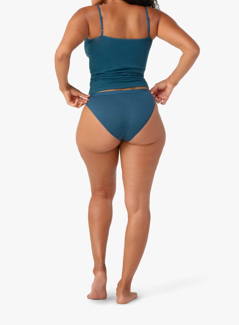 Preţ Chiloți termici femei Smartwool Merino Bikini Boxed - twilight blue