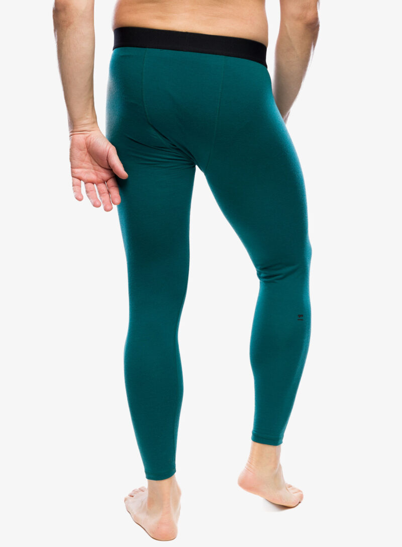 Colanti barbati Mons Royale Cascade Merino Flex 200 Legging - evergreen preţ