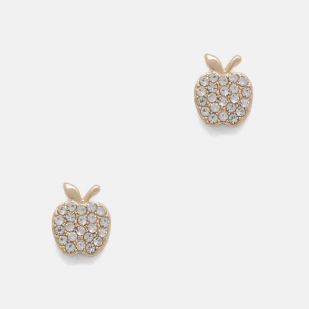 Dkny cercei PE APPLE STUD 04G00533