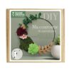 Graine Creative kit de decorare diy Ma couronne de succulentes