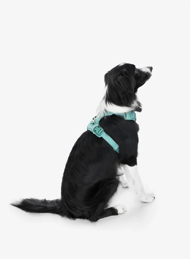 Ham pentru câini Ruffwear Front Range Harness S - river rock green preţ