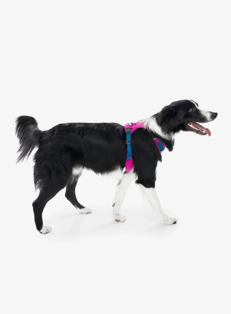 Ham pentru câini Ruffwear Hi and Light Harness S - alpenglow pink preţ