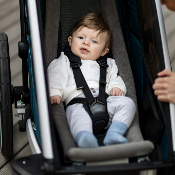 Preţ Hamac Thule Chariot Infant Sling