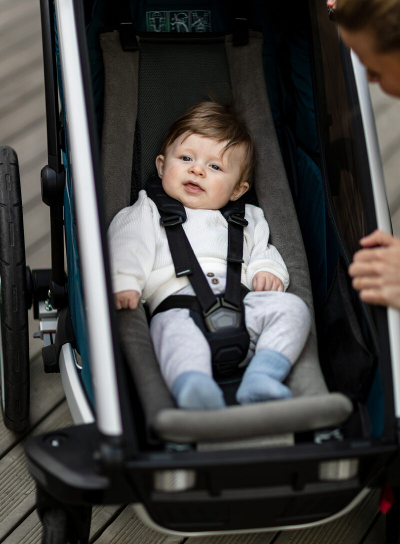 Preţ Hamac Thule Chariot Infant Sling