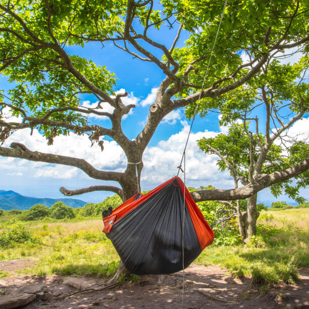 Preţ Hamac de voiaj ENO SuperSub Hammock - charcoal/orange