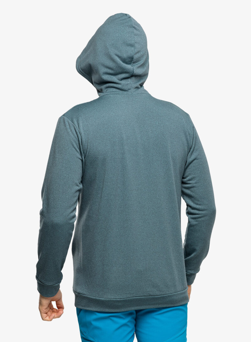 Preţ Hanorac cu gluga Direct Alpine Hoodie Tech - arctic