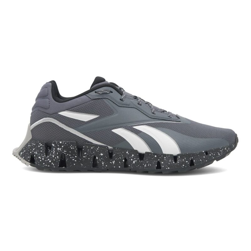 Încălţăminte sport Reebok ZIG DYNAMICA 4 ADVENTURE 100074699