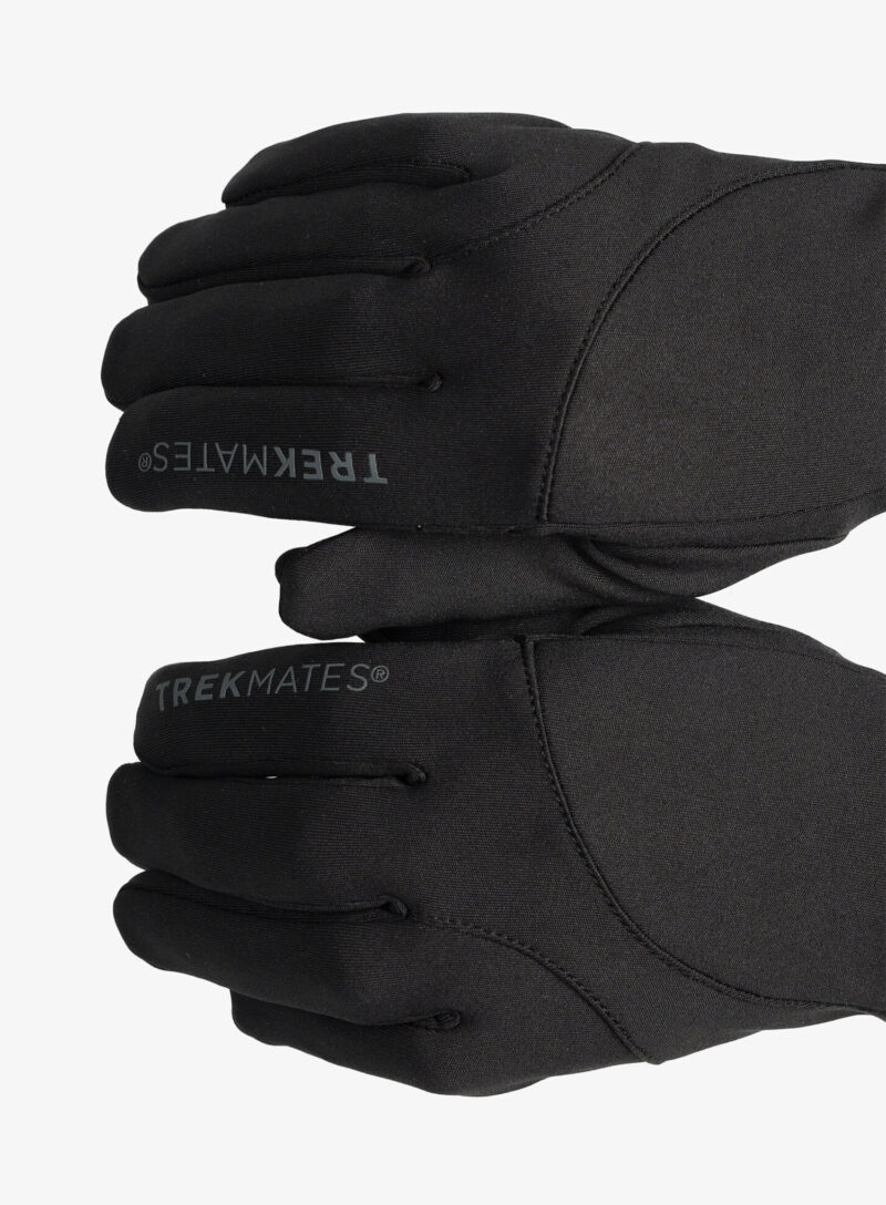 Preţ Mănuși Trekmates Codale DRY Glove - black