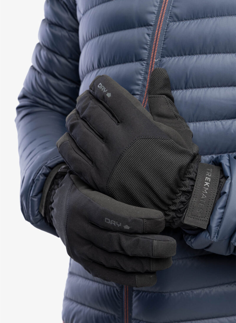 Preţ Mănuși Trekmates Taktil DRY Glove - black