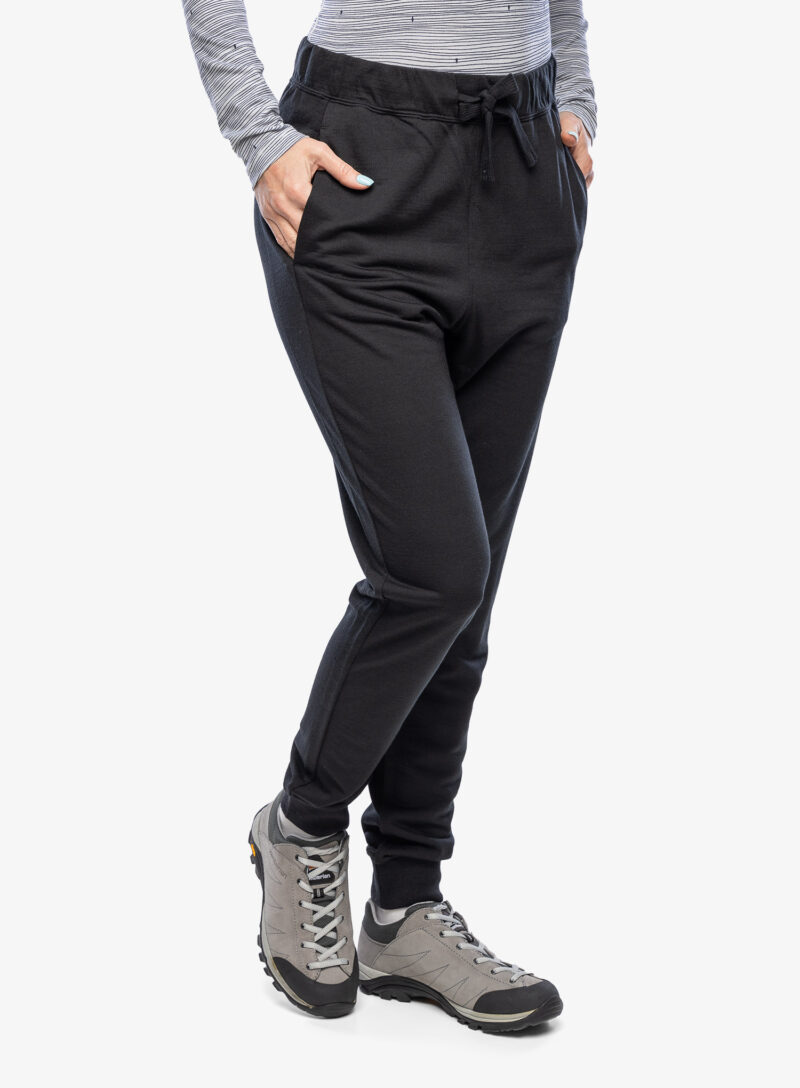 Cumpăra Pantaloni femei Icebreaker Merino Crush II Pants - black