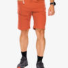 Pantaloni scurti drumetie Salomon Wayfarer Short - baked clay