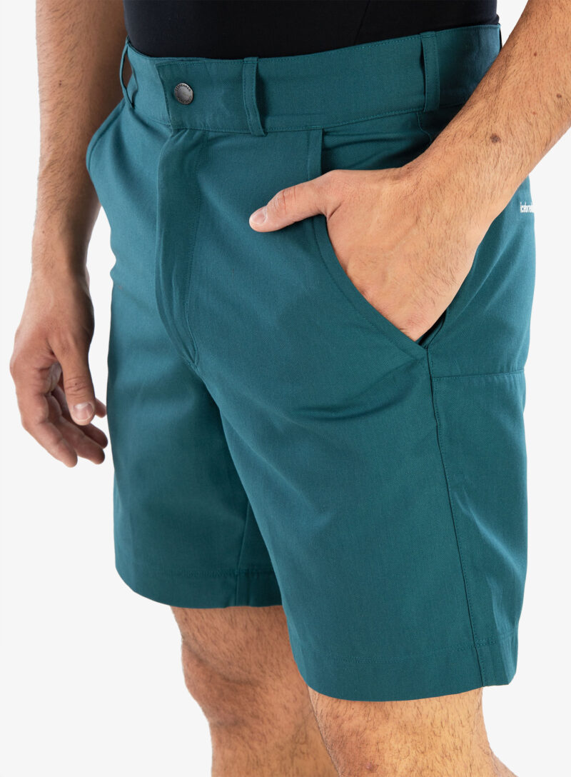 Cumpăra Pantaloni scurti drumetie barbati Icebreaker Men Hike Shorts - green glory