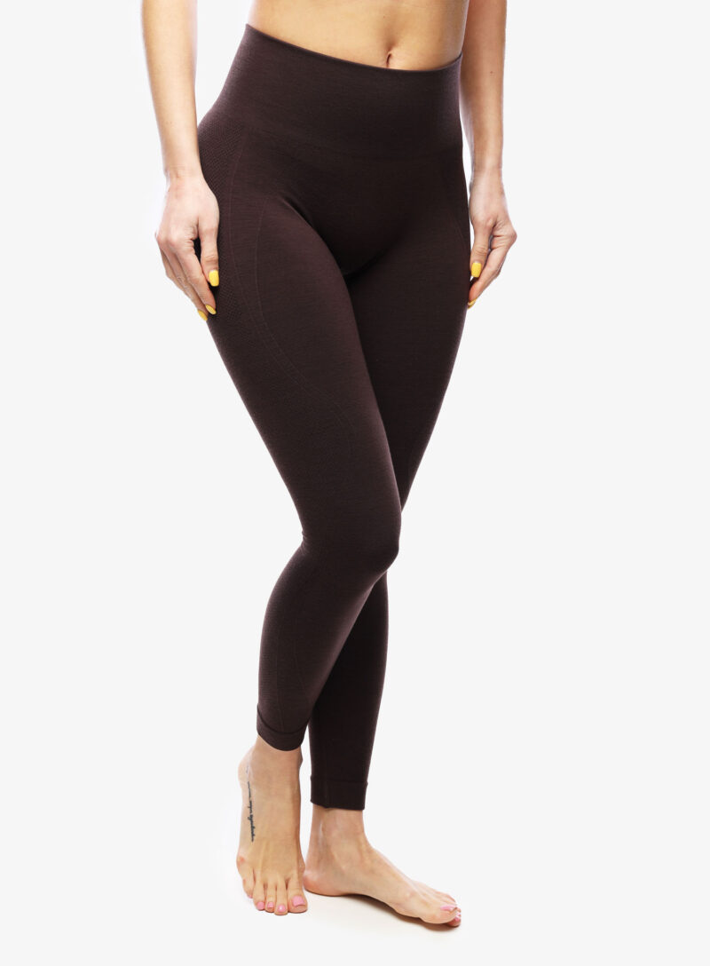 Cumpăra Pantaloni strâmți de damă Icebreaker Merino Seamless Active 25 Tights - bittersweet