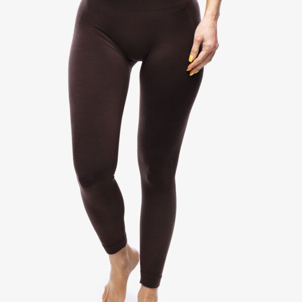 Original Pantaloni strâmți de damă Icebreaker Merino Seamless Active 25 Tights - bittersweet