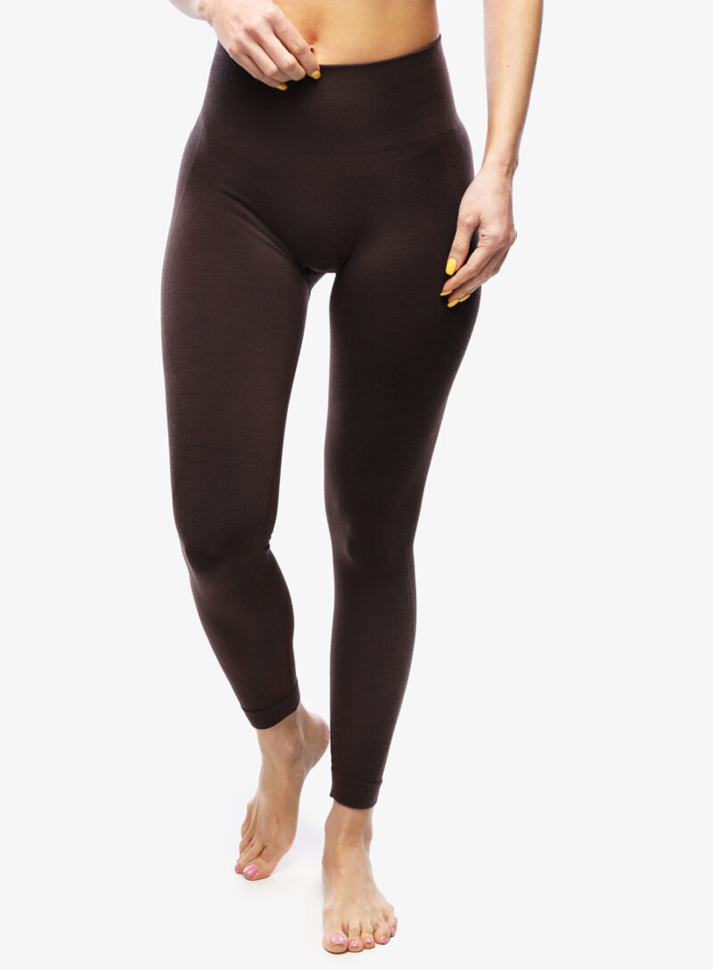 Original Pantaloni strâmți de damă Icebreaker Merino Seamless Active 25 Tights - bittersweet