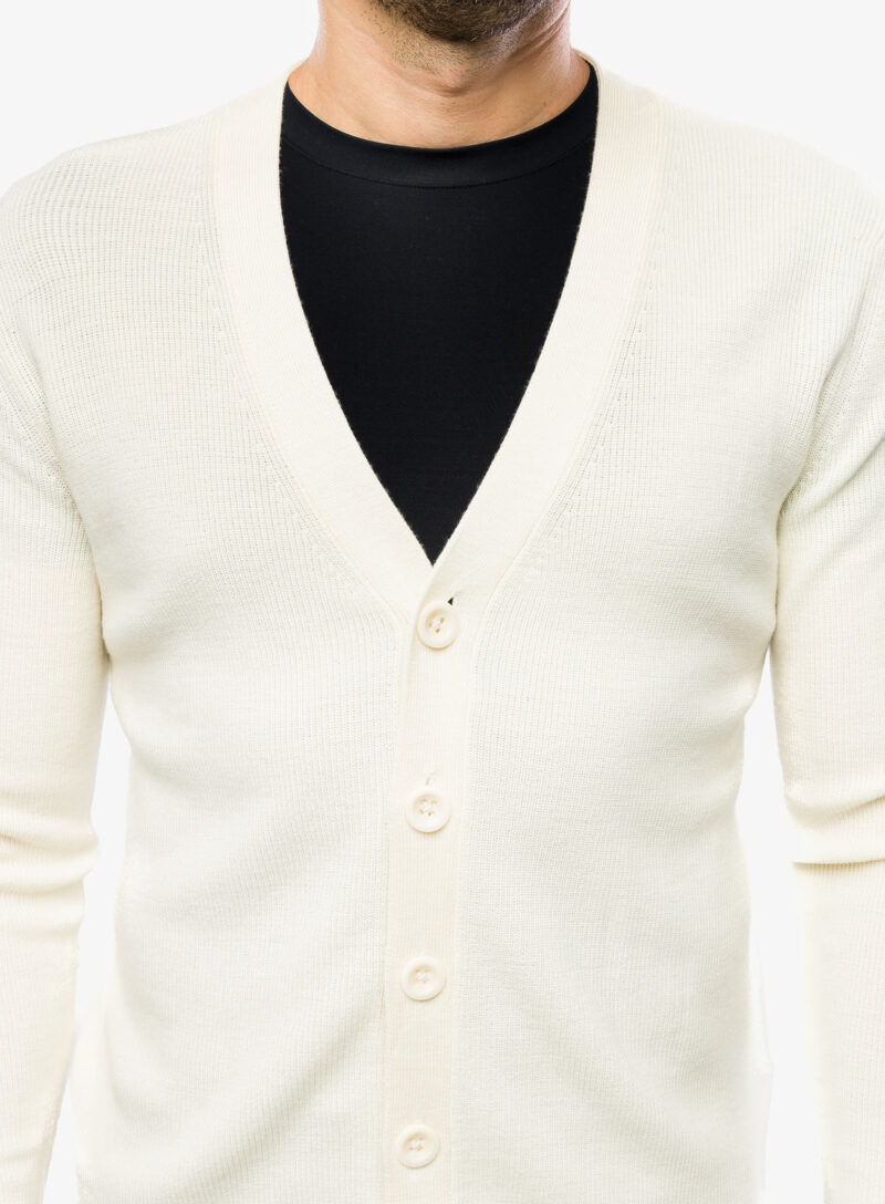 Original Pulover pentru bărbați Icebreaker Merino Smart Cardigan - undyed