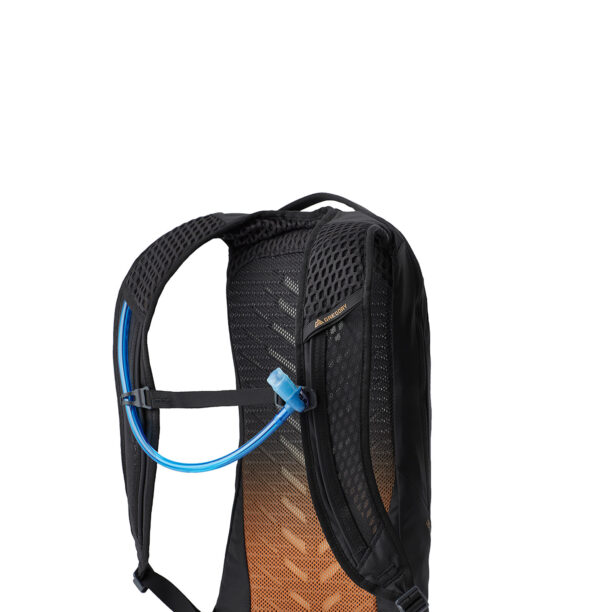 Rucsac Gregory Tempo 6 H2O - carbon bronze preţ