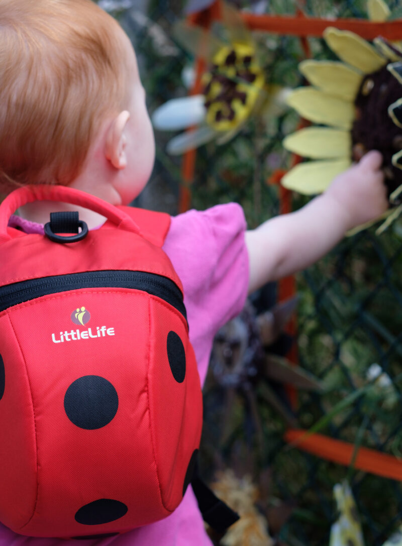 Preţ Rucsac drumetie copii Littlelife Toddler Backpack - ladybird