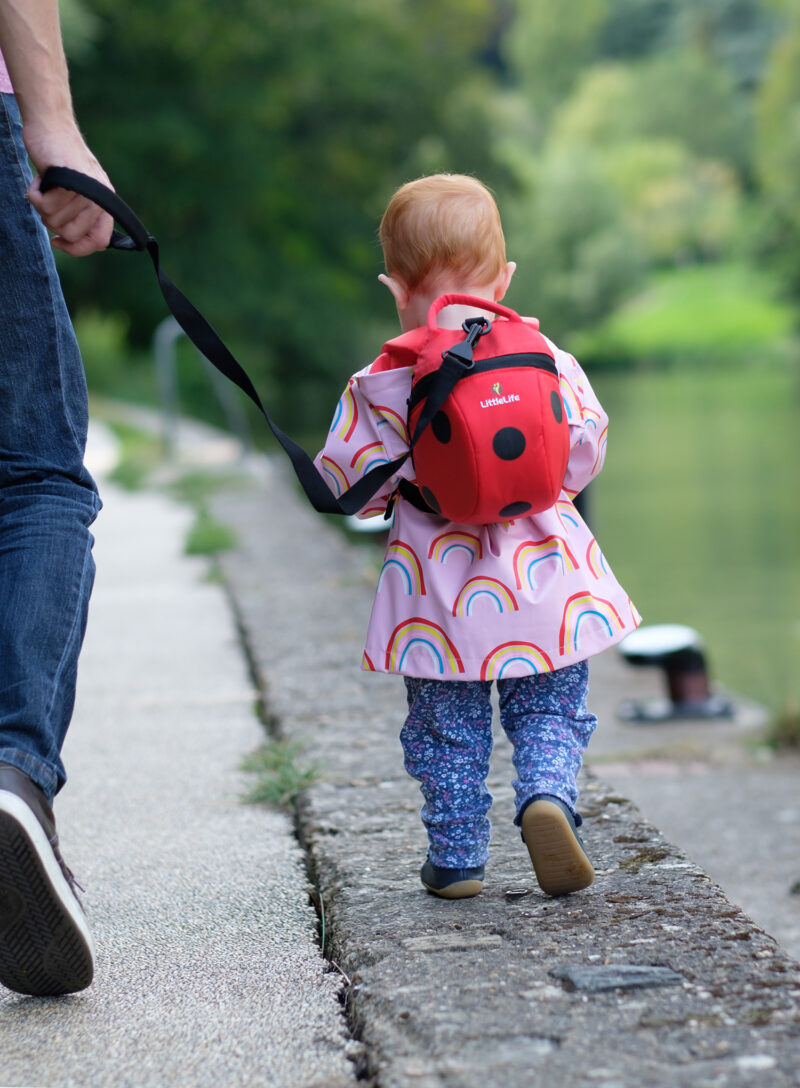 Original Rucsac drumetie copii Littlelife Toddler Backpack - ladybird