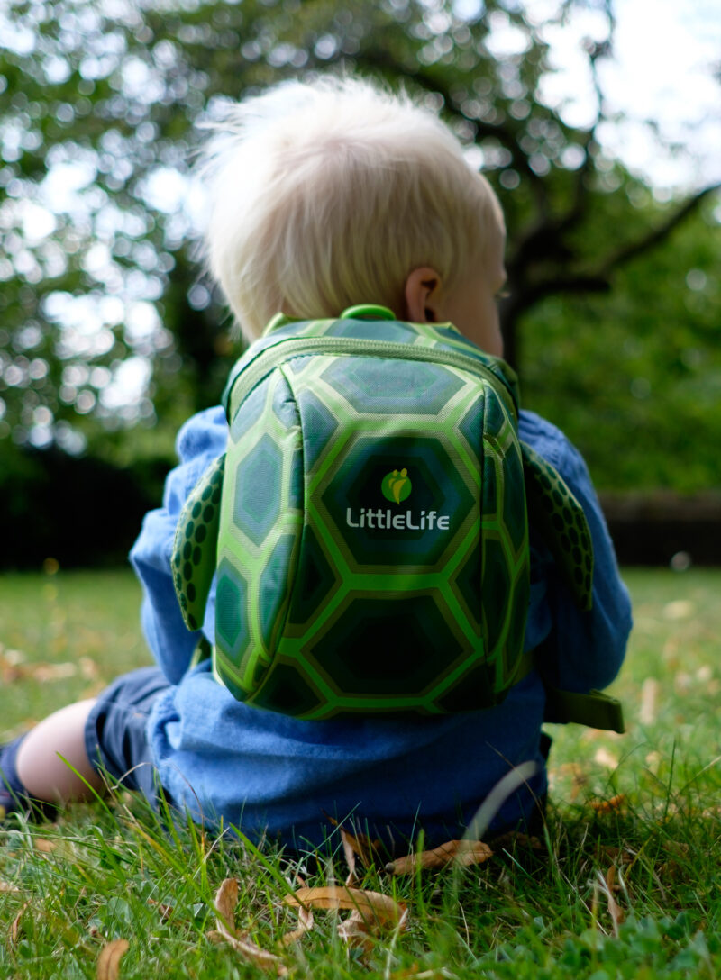 Preţ Rucsac drumetie copii Littlelife Toddler Backpack - turtle