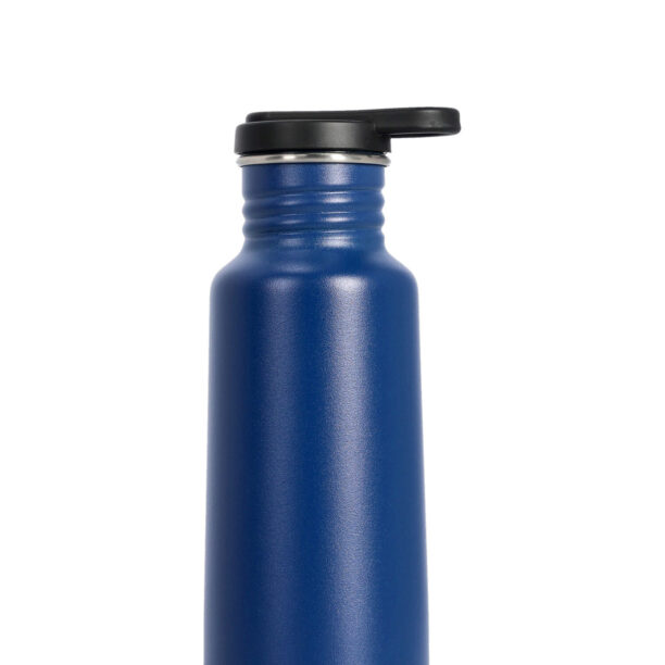 Sticlă de voiaj Esbit Pictor Drinking Bottle 550ml - water blue preţ