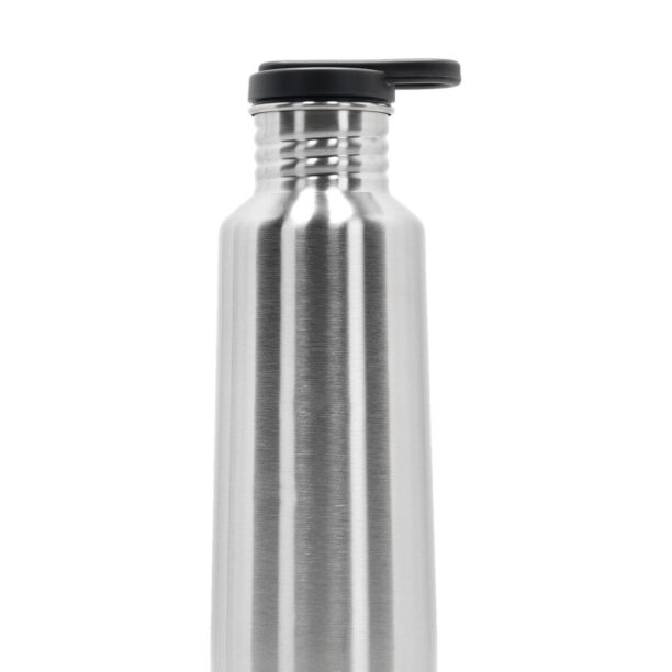 Sticla termică Esbit Pictor Drinking Bottle 750ml - steel preţ