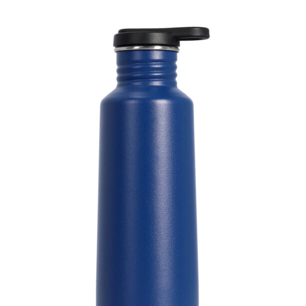 Sticla termică Esbit Pictor Drinking Bottle 750ml - water blue preţ