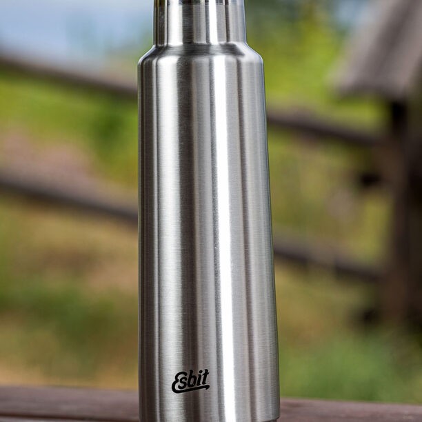 Original Sticla termică Esbit Pictor Insulated Bottle 750ml - steel