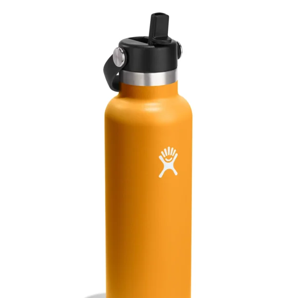 Sticla termică Hydro Flask 21 oz Standard Flex Straw Cap (621 ml) - fossil preţ