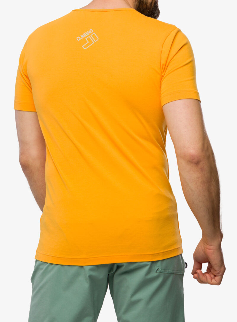 Tricou bumbac Direct Alpine Flash - mango/mountains preţ