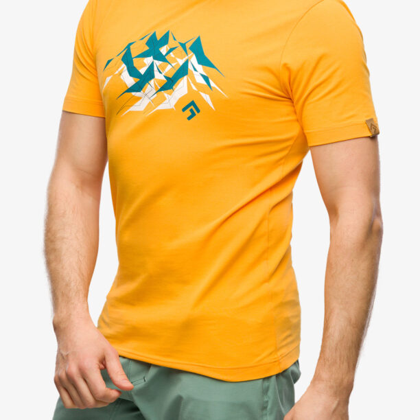 Preţ Tricou bumbac Direct Alpine Flash - mango/mountains