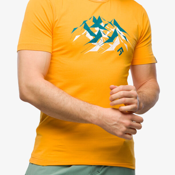 Tricou bumbac Direct Alpine Flash - mango/mountains