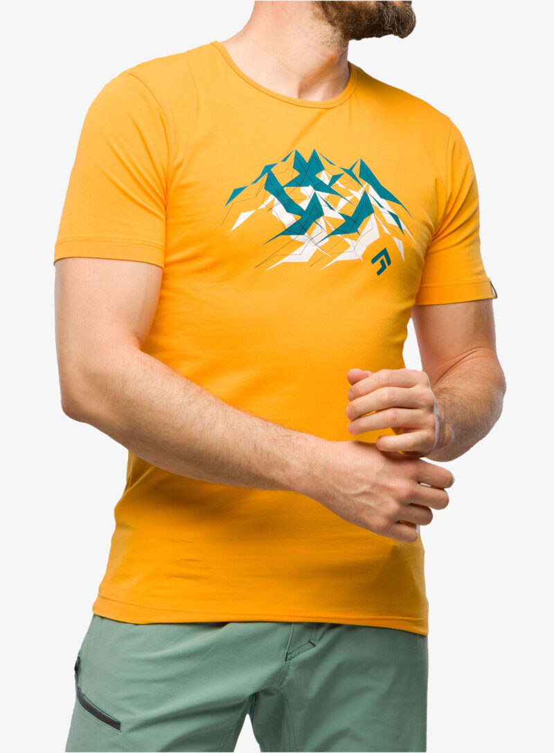 Tricou bumbac Direct Alpine Flash - mango/mountains