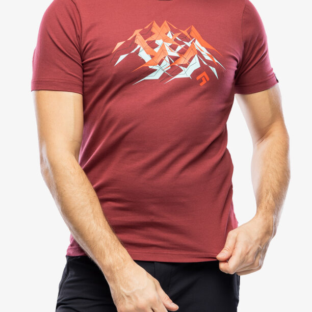 Tricou cu imprimeu Direct Alpine Flash - palisander/mountains