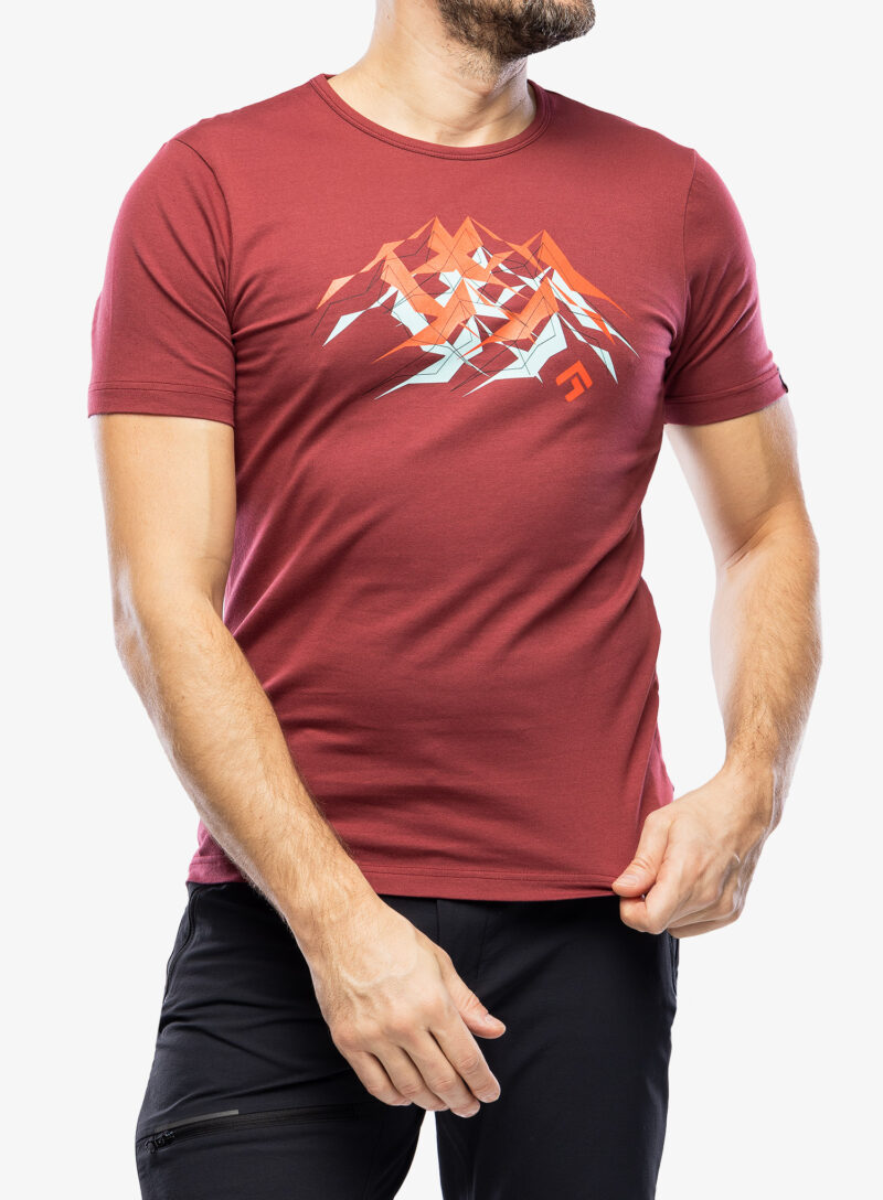 Tricou cu imprimeu Direct Alpine Flash - palisander/mountains