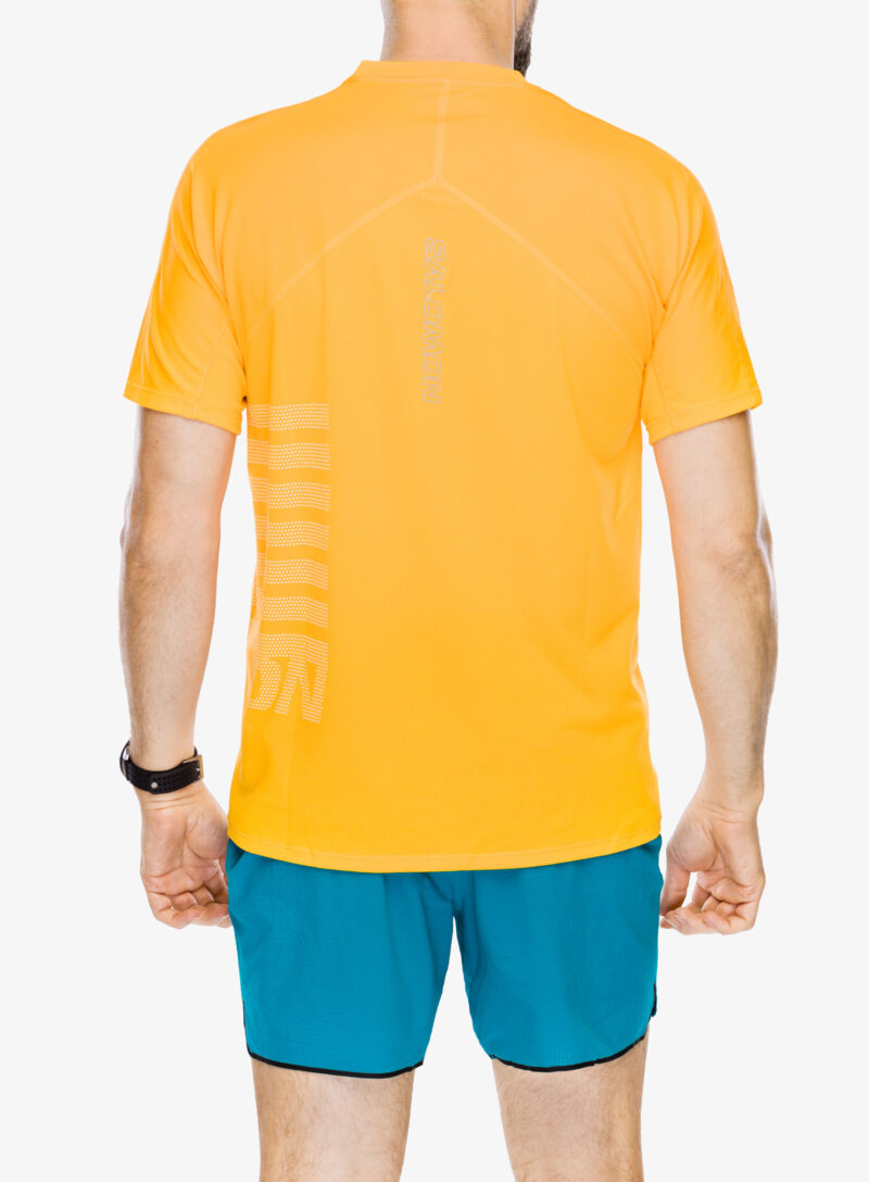 Tricou uscare rapida Salomon Sense Aero S/S GFX - zinna preţ