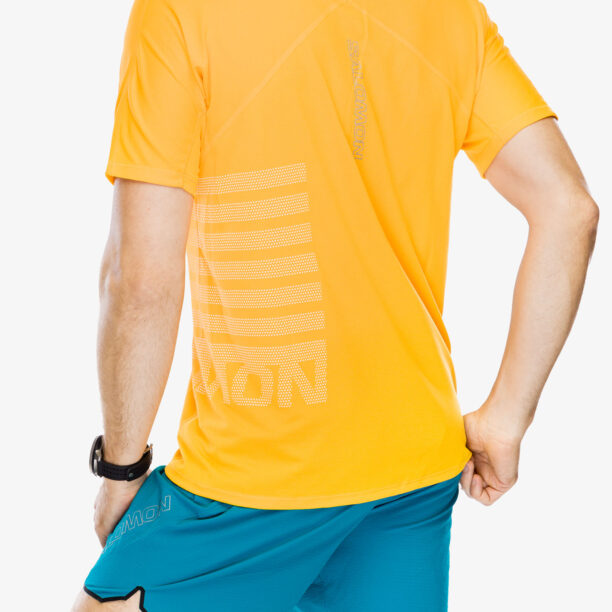 Preţ Tricou uscare rapida Salomon Sense Aero S/S GFX - zinna