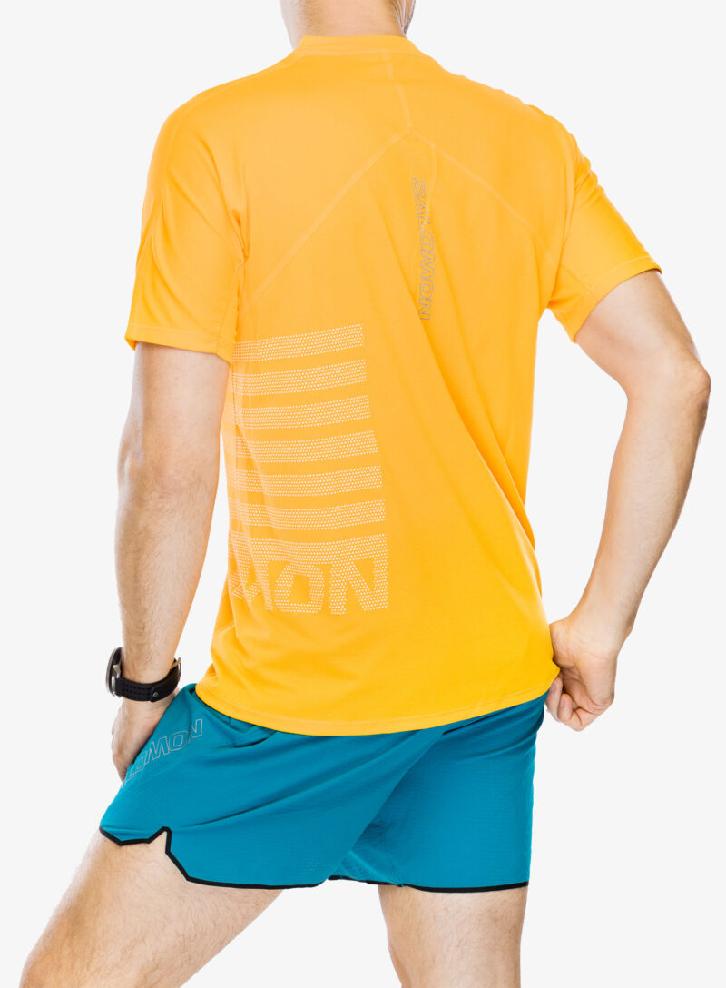 Preţ Tricou uscare rapida Salomon Sense Aero S/S GFX - zinna