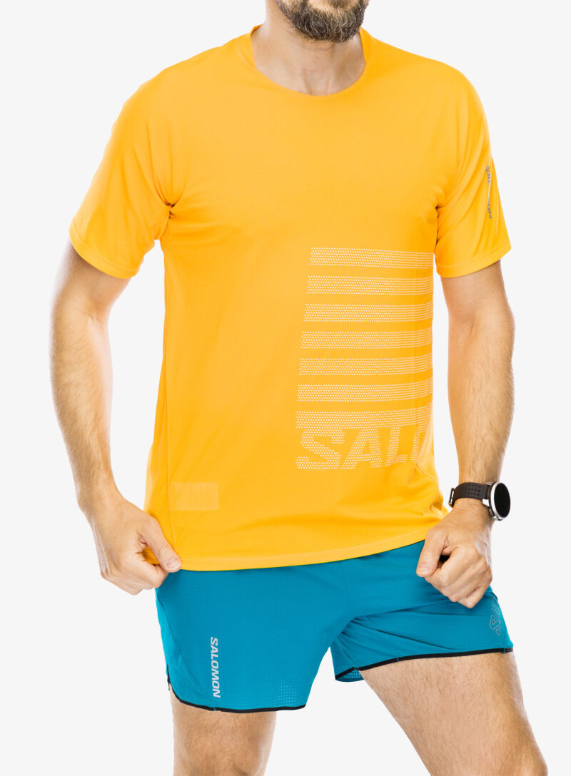 Tricou uscare rapida Salomon Sense Aero S/S GFX - zinna