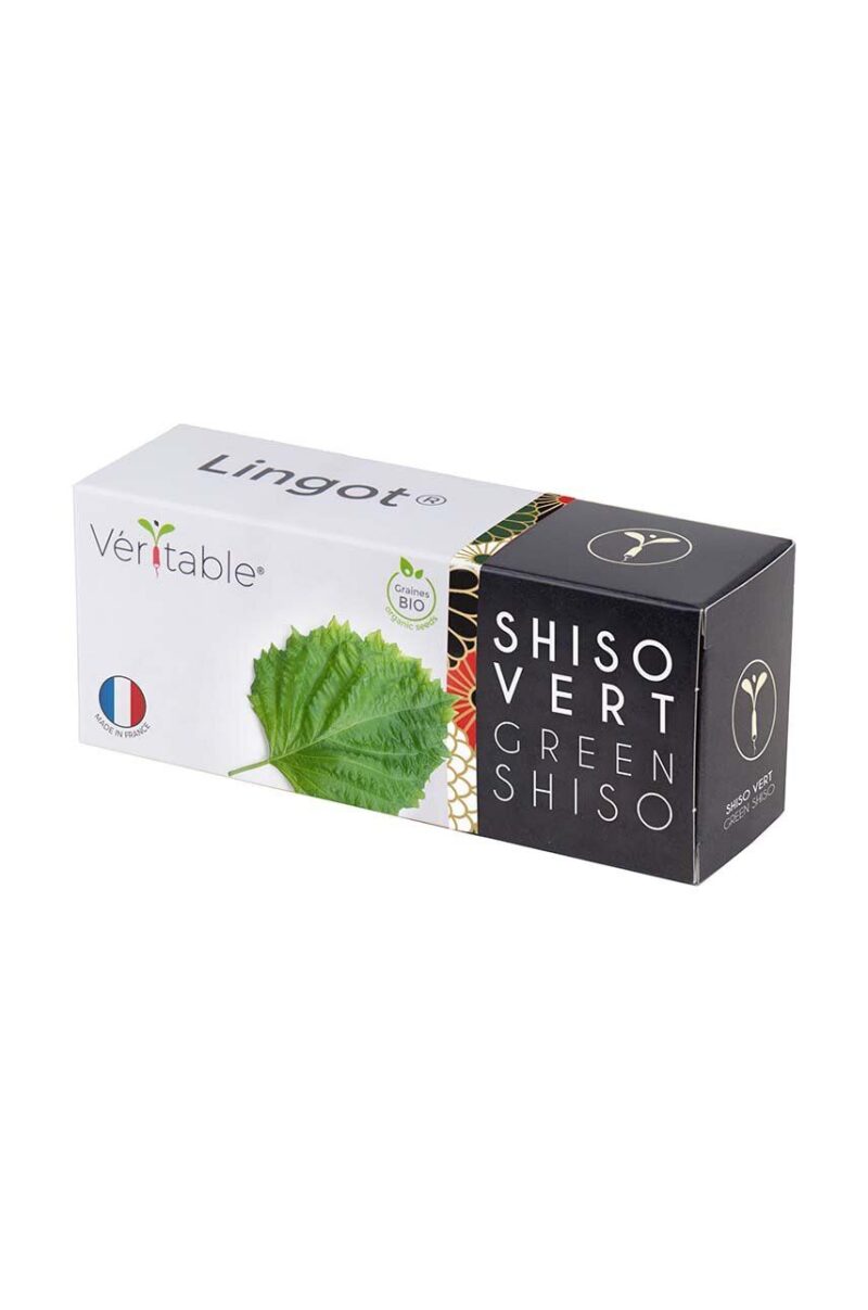 Veritable insertie de seminte Green Shiso