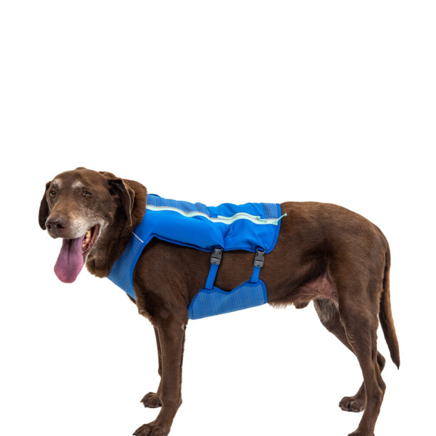 Vestă pentru câine Ruffwear Trail Runner Running Vest - blue pool preţ