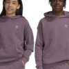 adidas Originals hanorac de bumbac pentru copii HOODIE culoarea violet