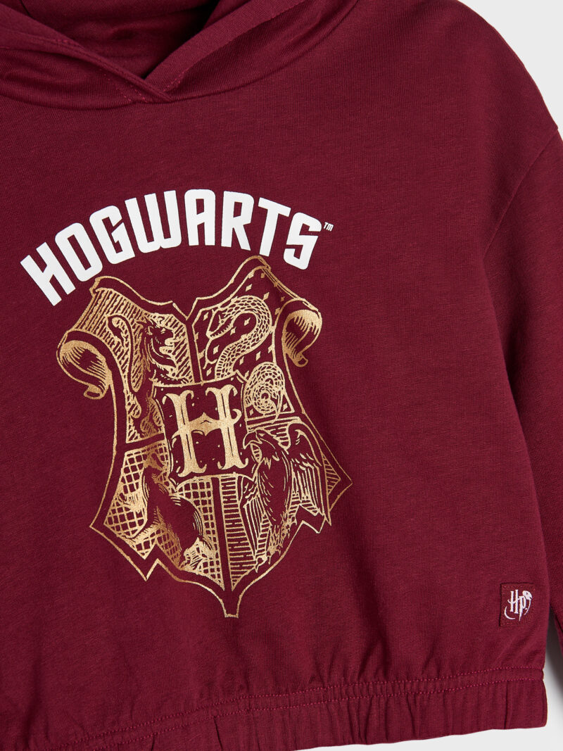 Original Bluză sport Harry Potter - bordo