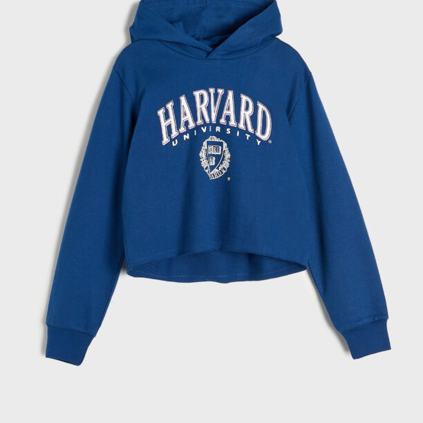 Preţ Hanorac Harvard - bleumarin